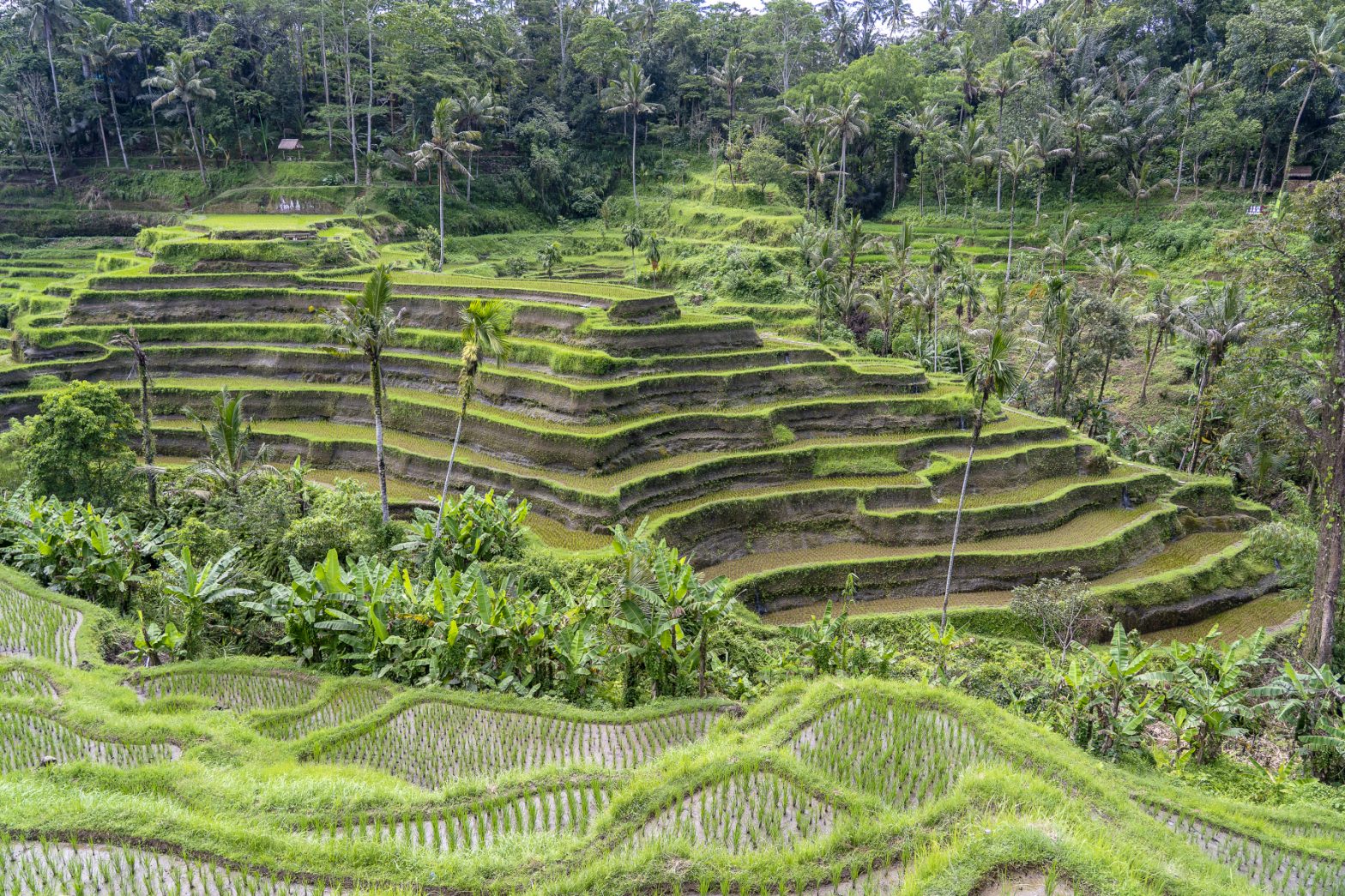 Ubud und Umgebung