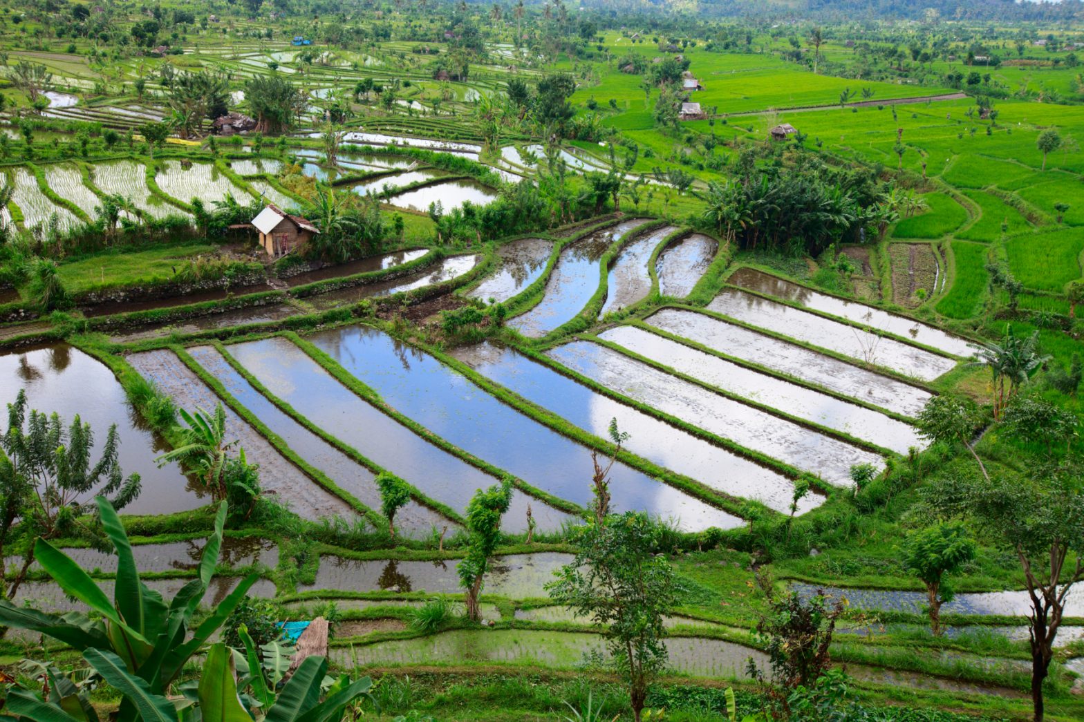 Indonesien – das Inselparadies am Äquator