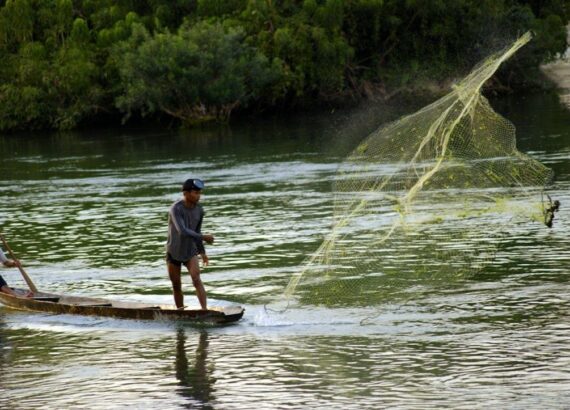 Fischer in einem schmalen Boot wirft ein großes Netz in den Mekong